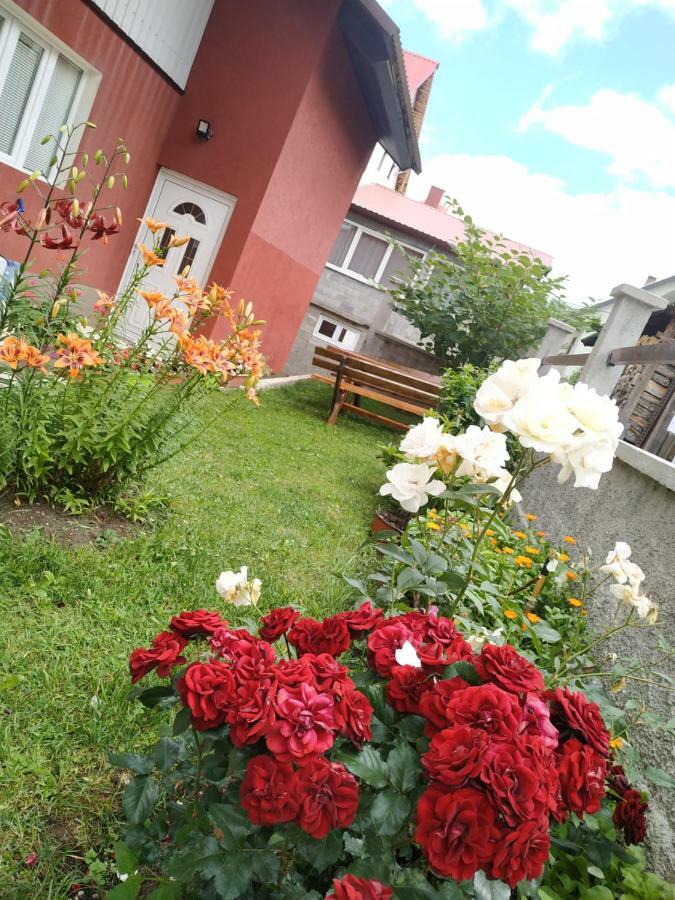 Apartments Bozovic Zabljak  Luaran gambar