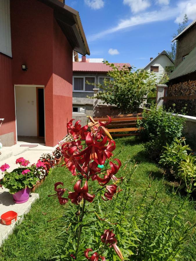 Apartments Bozovic Zabljak  Luaran gambar